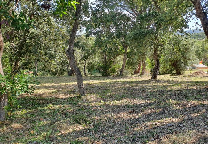 Terra a Calonge, Gerona, Calonge - € 69.000 | Ref: 2031 - foto 1